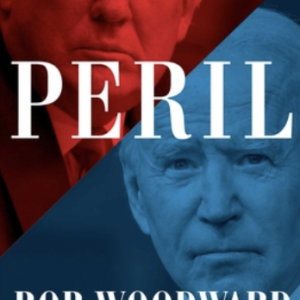 Book cover for Peril