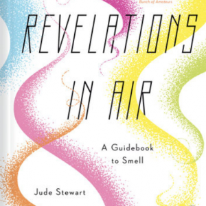Revelations in Air Book cover