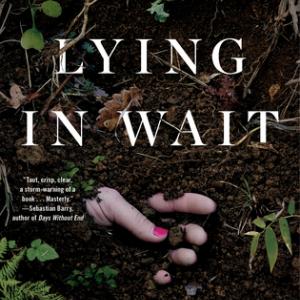 The cover of Lying in Wait by Liz Nugent