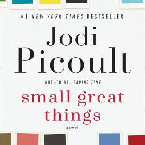 Cover of Small Great Things by Jodi Picoult