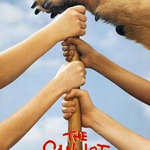 Sandlot