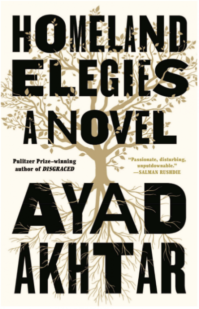 Book cover for Homeland Elegies by Ayad Akhtar