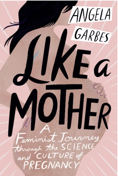 Book cover for Like a Mother by Angela Garbes