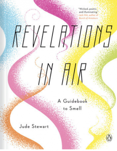 Revelations in Air Book cover