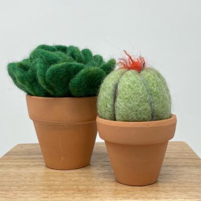 examples of felted succulets in clay pots