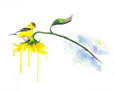 Yellow bird on a yellow flower watercolor
