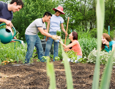 A happy group of people gardening together, courtesy https://dane.extension.wisc.edu/