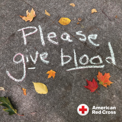 The message "Please give blood" written in sidewalk chalk, surrounded by autumn leaves