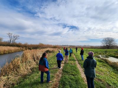 Waterfowl ID at Nine Springs