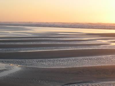 photo of west coast waves